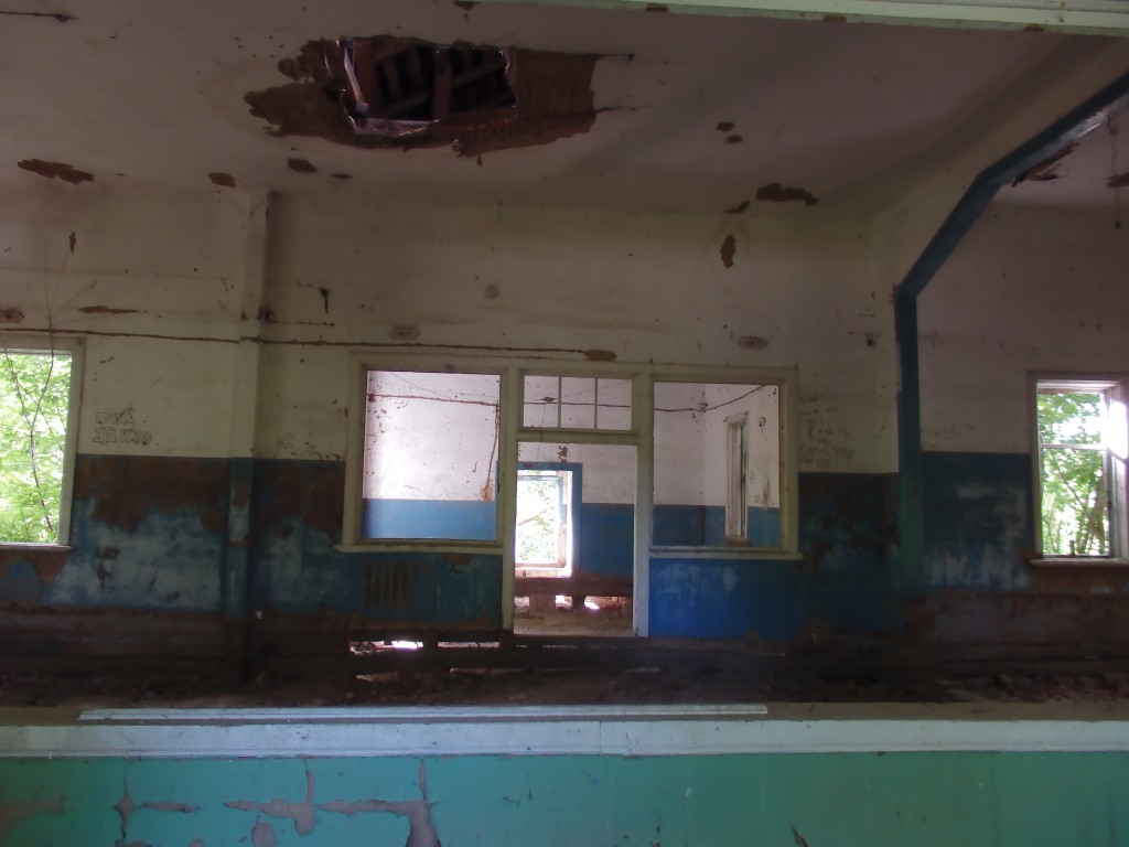 Церковь Рождества Пресвятой Богородицы, Сергеевск (Стародубский район и г. Стародуб, Брянская область). интерьер и убранство, Вид из алтаря