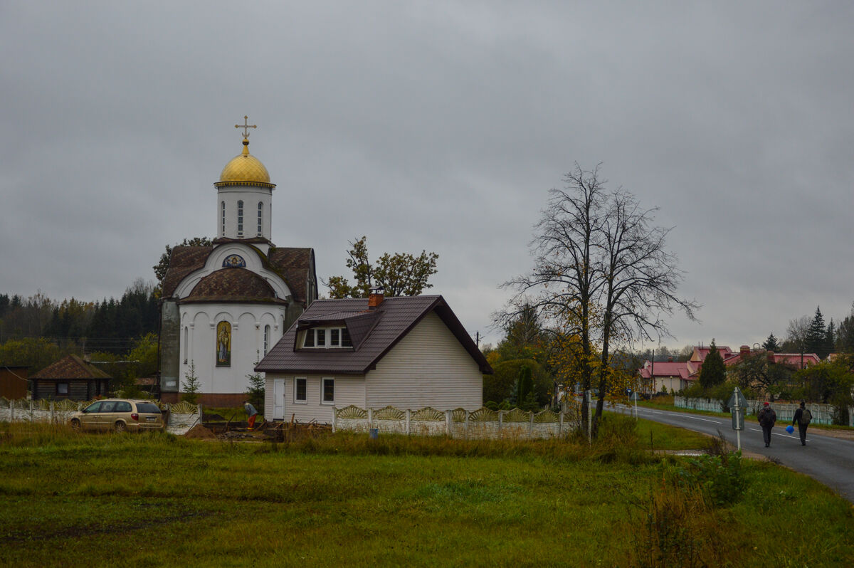 Церковь Анастасии Узорешительницы, Бычиха (Городокский район, Беларусь, Витебская область). общий вид в ландшафте