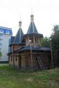 Церковь иконы Божией Матери "Взыскание погибших", , Луганск, Луганск, город, Украина, Луганская область