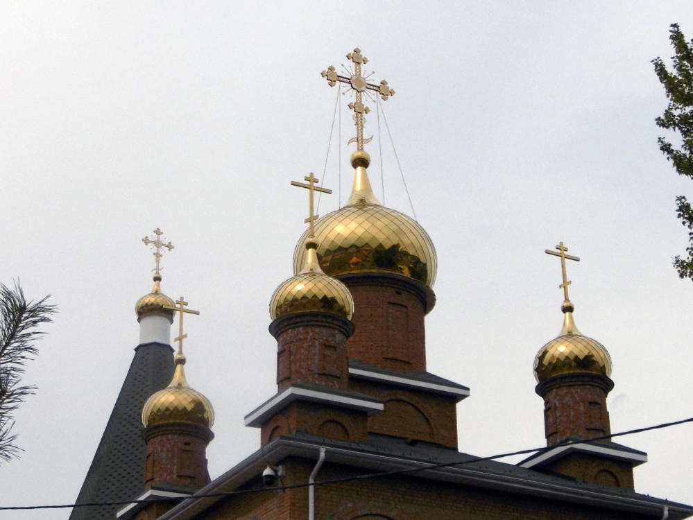 Церковь Илии Пророка в Борисково, Приволжский район (Казань, город, Республика Татарстан). архитектурные детали, Купола храма