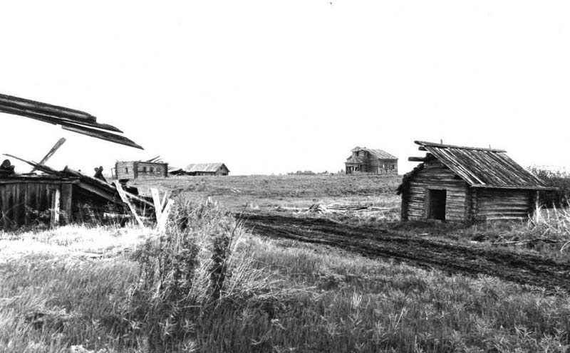 Церковь Николая Чудотворца, Кривой пояс (Онежский район, Архангельская область). архивная фотография, Вид на село Кривой Пояс с запада, справа церковь. Фото из паспорта памятника архитектуры. 