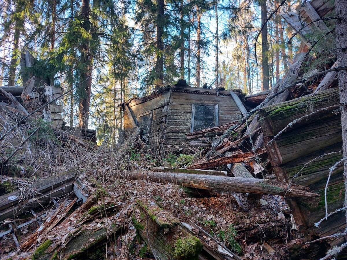 Церковь Илии Пророка, Пенигеевская (Ямскогорский погост) (Шенкурский район, Архангельская область). общий вид в ландшафте