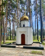 Часовня Луки (Войно-Ясенецкого), Вид с запада<br>, Новосибирск, Новосибирск, город, Новосибирская область