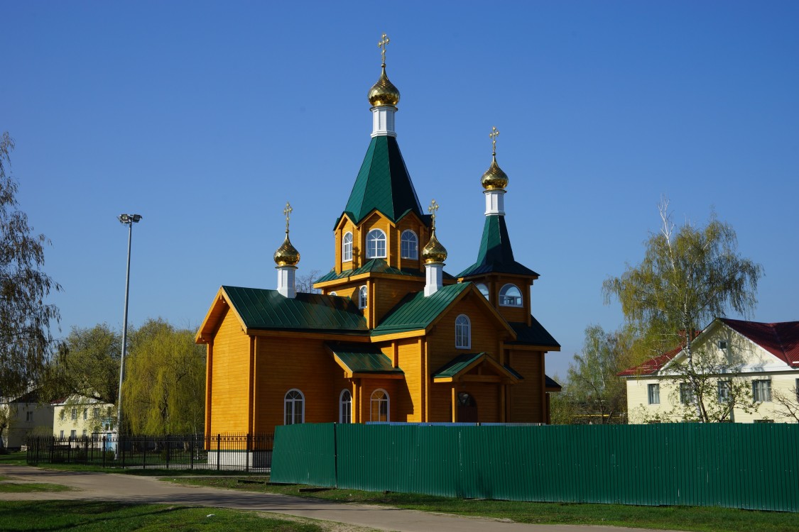 Тамбов. Церковь Александра Невского в Пехотке. общий вид в ландшафте