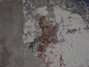 Церковь Воскресения Христова, Святой евангелист Марк<br>, Воскресенское (Кубенское с/п), Вологодский район, Вологодская область