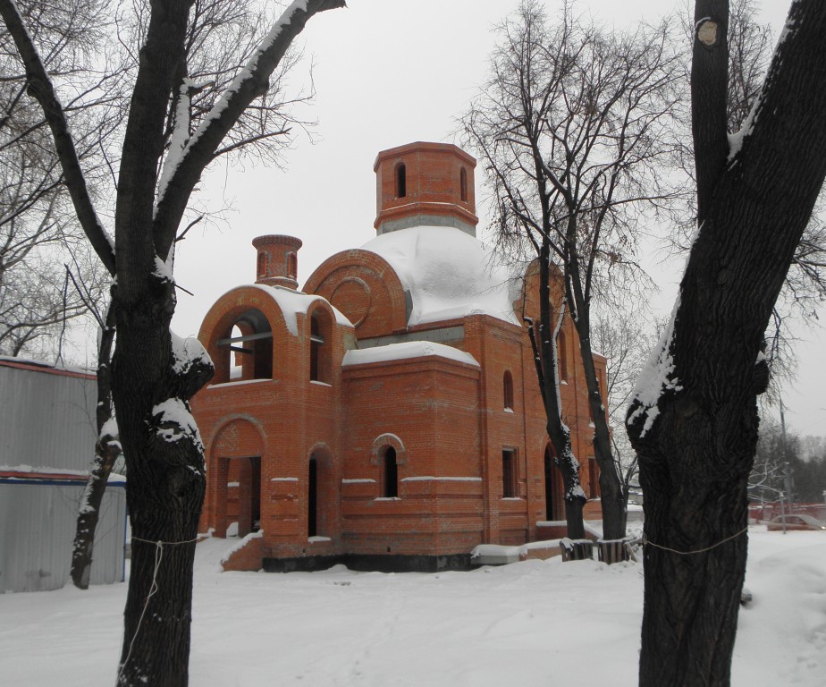 Церковь Димитрия, митрополита Ростовского, Выхино-Жулебино (Юго-Восточный административный округ (ЮВАО), г. Москва). документальные фотографии