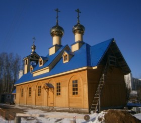 Санкт-Петербург. Церковь Василия Великого в Осиновой Роще