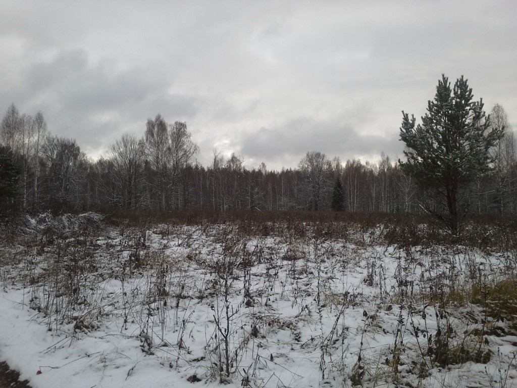Церковь Рождества Пресвятой Богородицы, Саварня, урочище (Вязниковский район, Владимирская область). дополнительная информация, Место, где ранее стояли дома причта