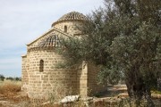 Церковь Димитриана Саламинского, , Дали, Никосия, Кипр