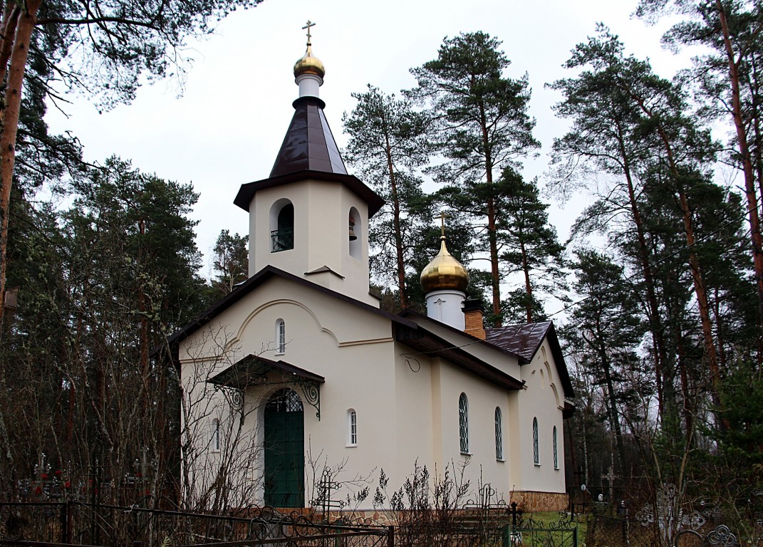 Церковь Митрофана Воронежского, Лосицы (Плюсский район, Псковская область). фасады