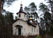 Церковь Митрофана Воронежского, , Лосицы, Плюсский район, Псковская область