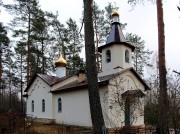 Церковь Митрофана Воронежского, , Лосицы, Плюсский район, Псковская область