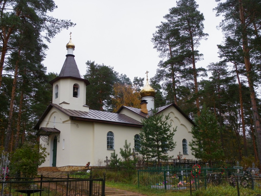 Церковь Митрофана Воронежского, Лосицы (Плюсский район, Псковская область). фасады