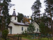 Церковь Митрофана Воронежского, , Лосицы, Плюсский район, Псковская область