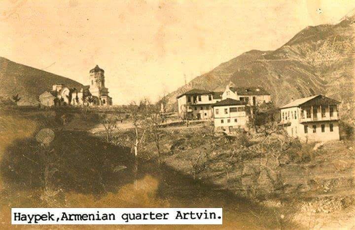 Артвин старые