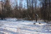 Церковь Александра Свирского, Вид на церковное место с юго-запада<br>, Александровское, Волоколамский городской округ, Московская область