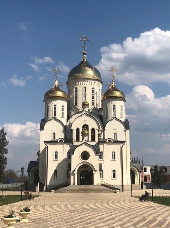 Георгиевск. Кафедральный собор Георгия Победоносца. фасады