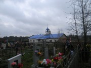 Церковь Введения во храм Пресвятой Богородицы, , Спасс, Рыбинский район, Ярославская область