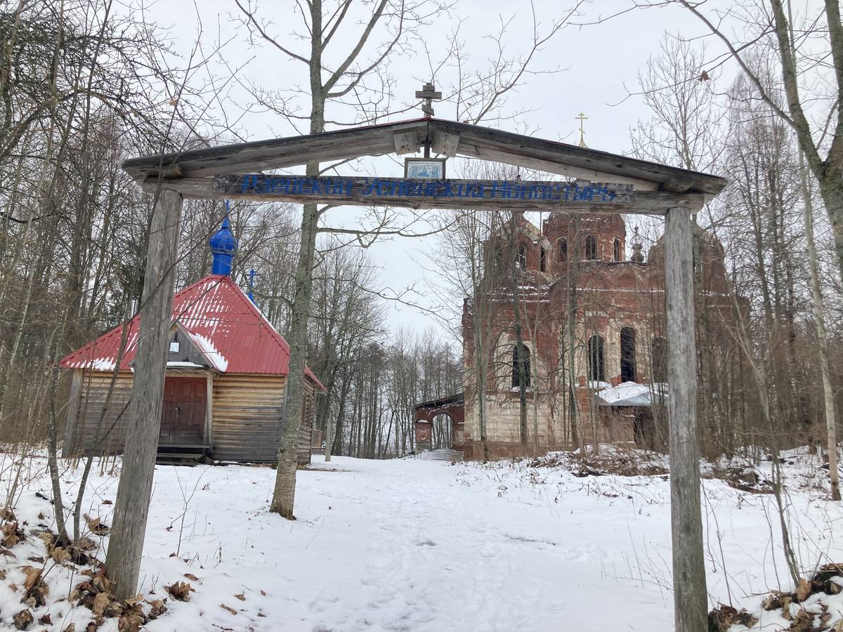 Вид с юго-востока, общий вид в ландшафте. Рдейский монастырь, Рдейская пустынь (Холмский район, Новгородская область)
