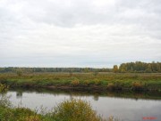 Церковь Димитрия Солунского - Кострицы (Кострицкое), урочище - Боровичский район - Новгородская область