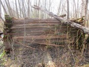 Часовня Рождества Пресвятой Богородицы, Фото Евгении Пономаревой<br>, Сысова, Плесецкий район, Архангельская область