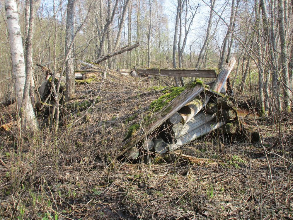 Часовня Рождества Пресвятой Богородицы, Сысова (Плесецкий район, Архангельская область). фасады, Фото Евгении Пономаревой