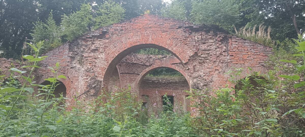 Церковь Спаса Нерукотворного Образа, Петрушино (Алексинский район и пос. Новогуровский, Тульская область). интерьер и убранство