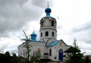 Церковь Покрова Пресвятой Богородицы - Новопокровское - Богородицкий район - Тульская область