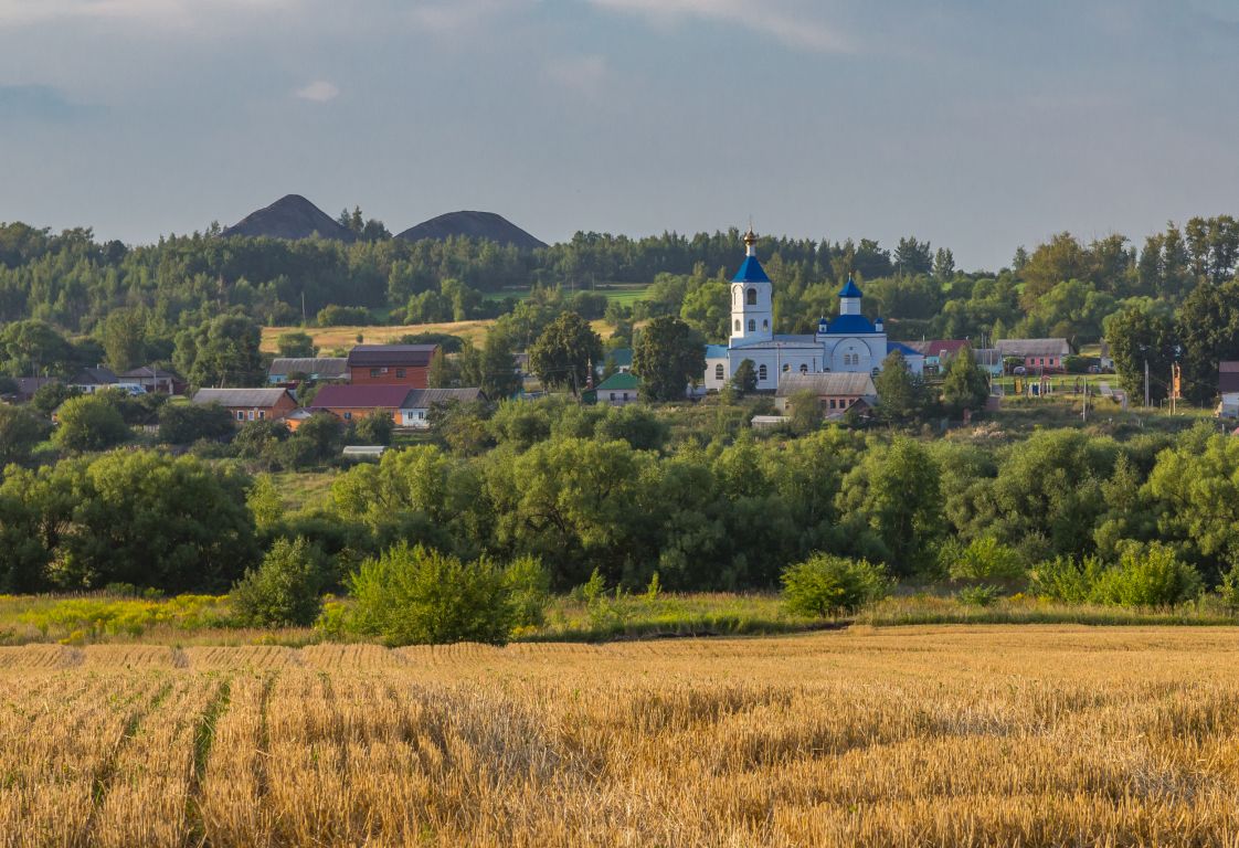 Церковь Покрова Пресвятой Богородицы, Новопокровское (Богородицкий район, Тульская область). общий вид в ландшафте, Вид с юга