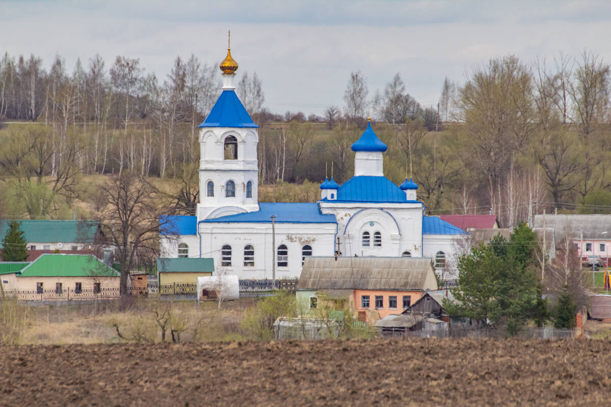 Церковь Покрова Пресвятой Богородицы, Новопокровское (Богородицкий район, Тульская область). фасады, Вид с юга