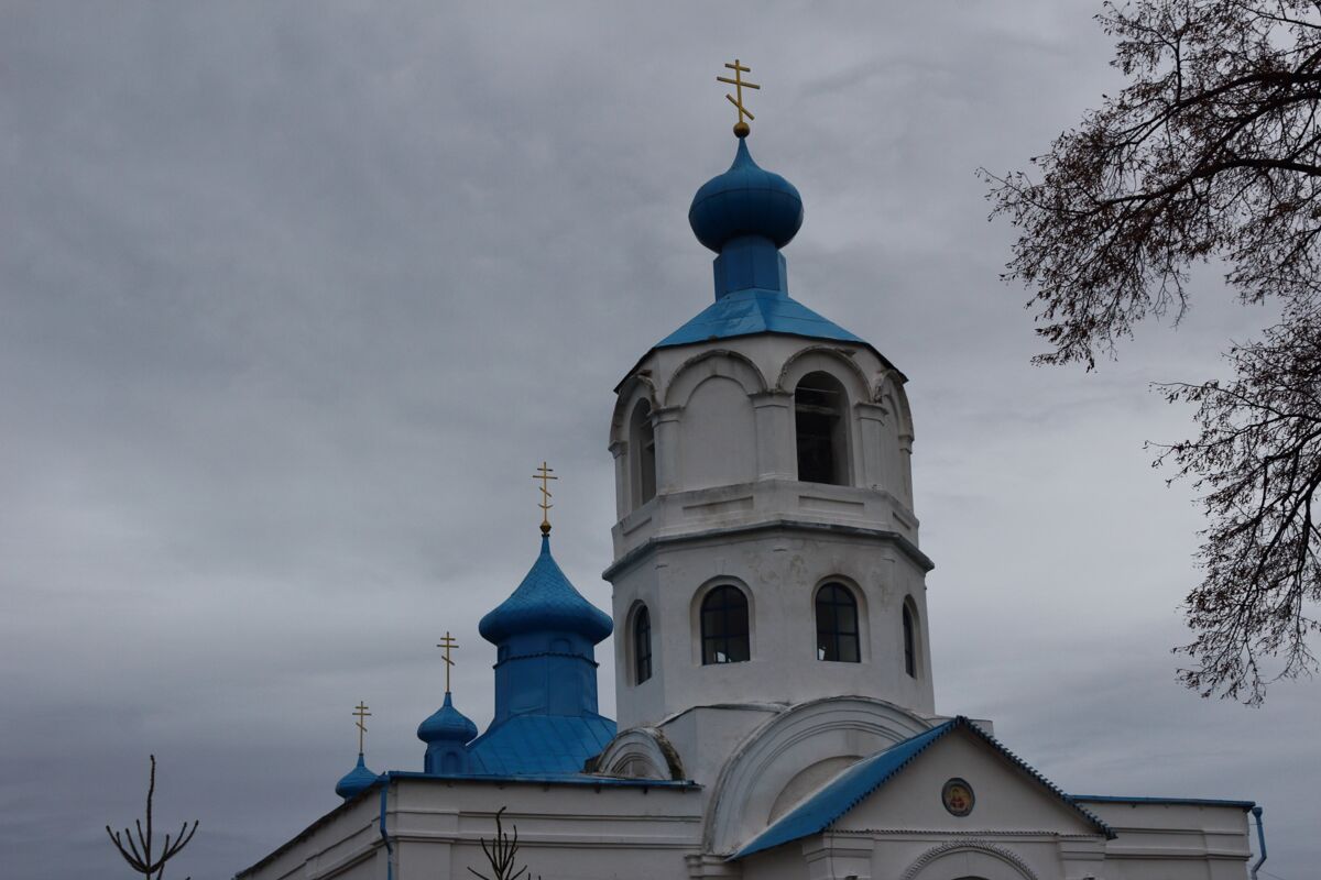 Церковь Покрова Пресвятой Богородицы, Новопокровское (Богородицкий район, Тульская область). архитектурные детали