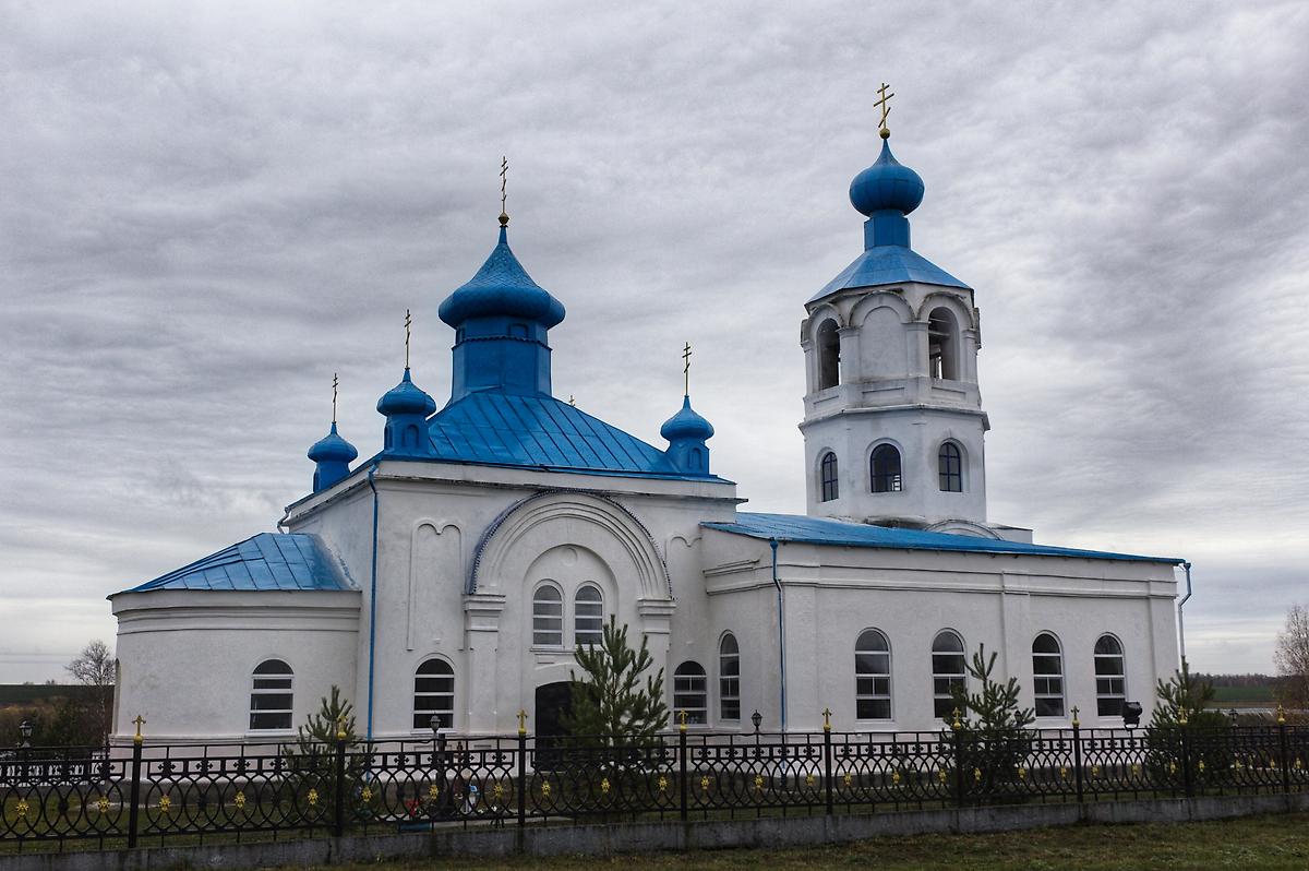 общий вид в ландшафте. Церковь Покрова Пресвятой Богородицы, Новопокровское (Богородицкий район, Тульская область)