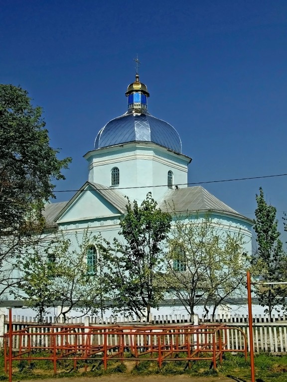 Требуховцы. Церковь Иоанна Богослова. общий вид в ландшафте