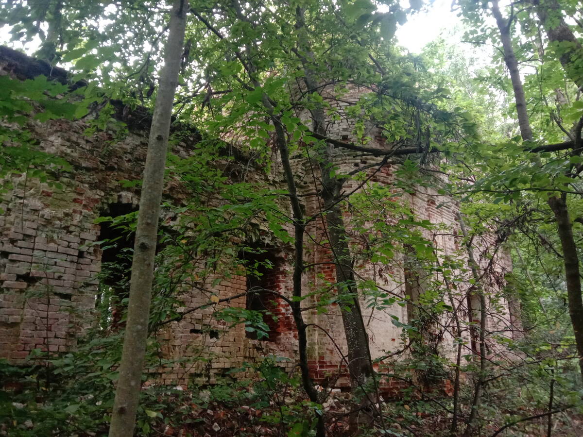 Церковь Воскресения Словущего, Алтухово (Белёвский район, Тульская область). фасады