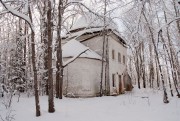 Александро-Коровина Троицкая мужская пустынь. Церковь Троицы Живоначальной, , Дмитриково, Междуреченский район, Вологодская область