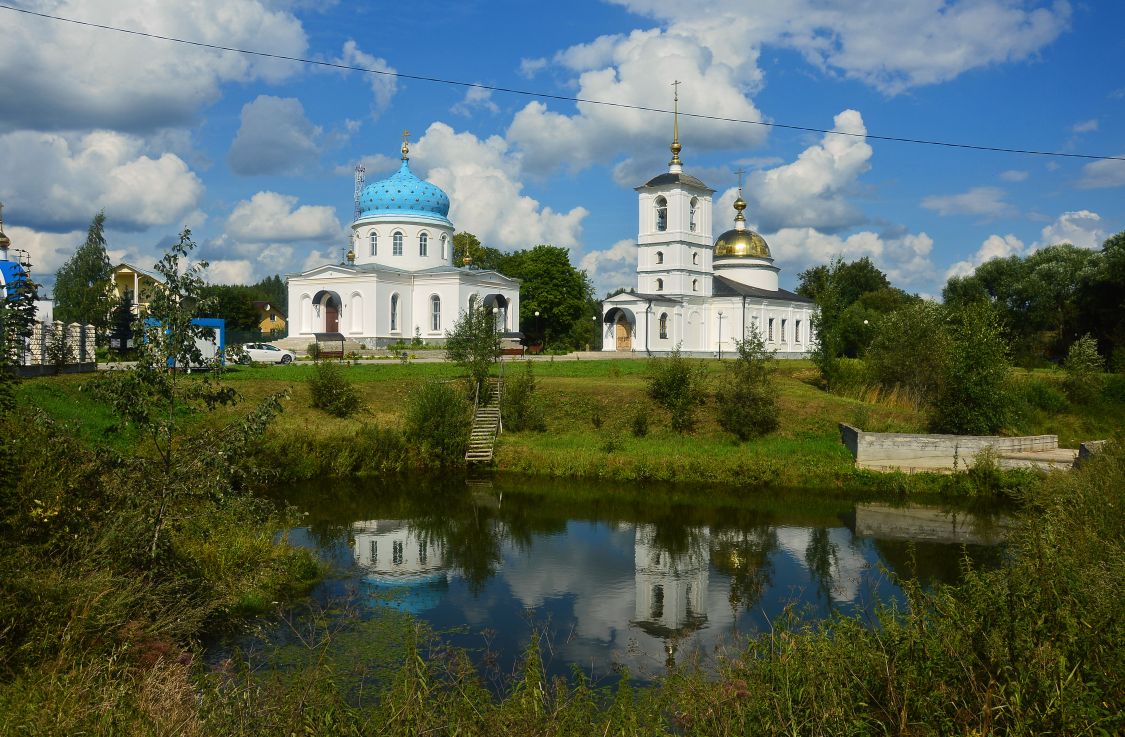 Храмовый комплекс. Церкви Спаса Всемилостивого и Казанской иконы Божией Матери, Гагино (Сергиево-Посадский городской округ, Московская область). общий вид в ландшафте
