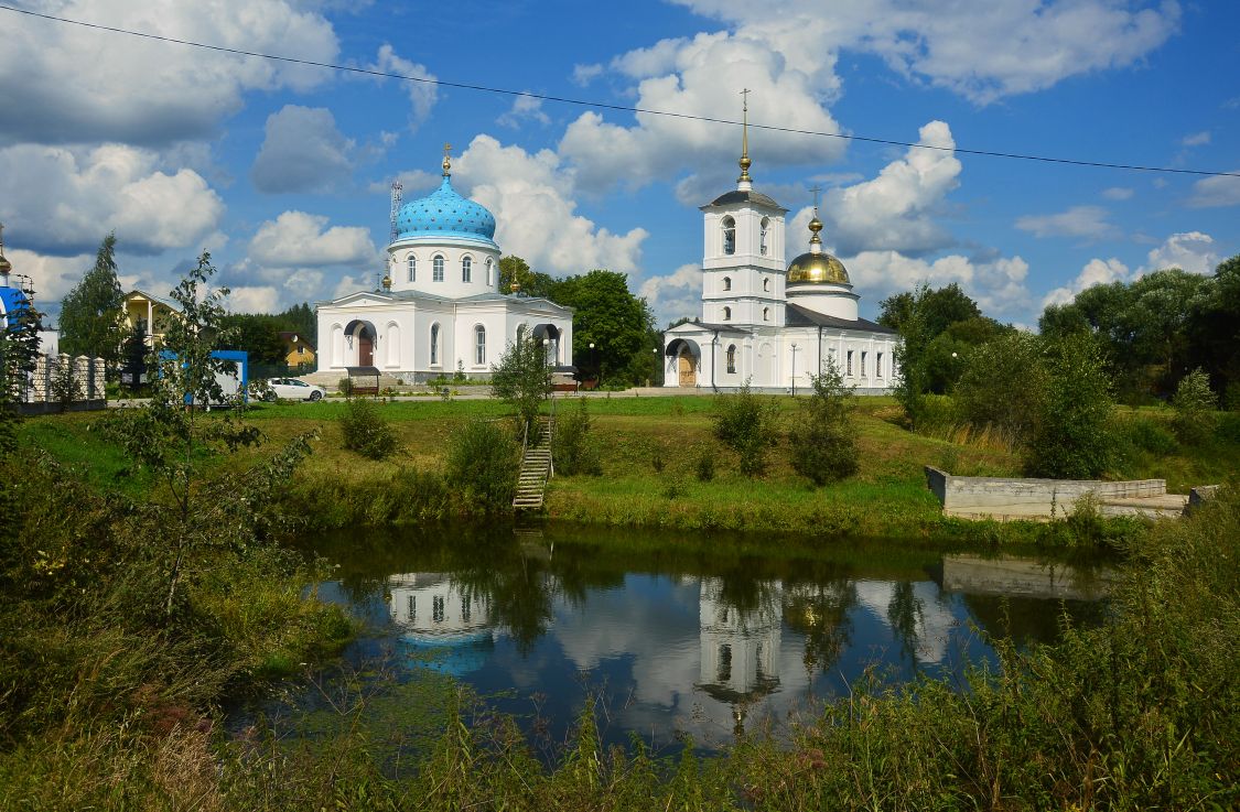 Гагино. Храмовый комплекс. Церкви Спаса Всемилостивого и Казанской иконы Божией Матери. общий вид в ландшафте