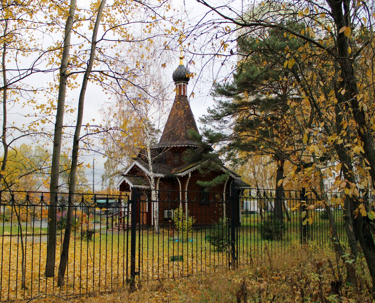 Церковь Бориса и Глеба в Новокосине, Новокосино (Восточный административный округ (ВАО), г. Москва). общий вид в ландшафте
