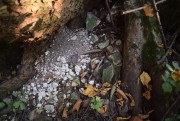 Церковь Покрова Пресвятой Богородицы, Храмовое место остатки кирпича<br>, Тиньково, Жуковский район, Калужская область