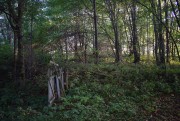 Церковь Покрова Пресвятой Богородицы, Храмовое место <br>, Тиньково, Жуковский район, Калужская область