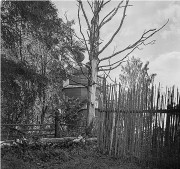 Церковь Покрова Пресвятой Богородицы, Фото 1967г Из архива Ильи Гольберга<br>, Верхний Березовец, Солигаличский район, Костромская область