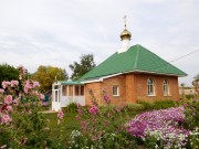 Церковь Николая Чудотворца, , Благодаровка, Борский район, Самарская область