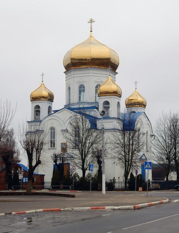 Церковь Преображения Господня, Шклов (Шкловский район, Беларусь, Могилёвская область). фасады