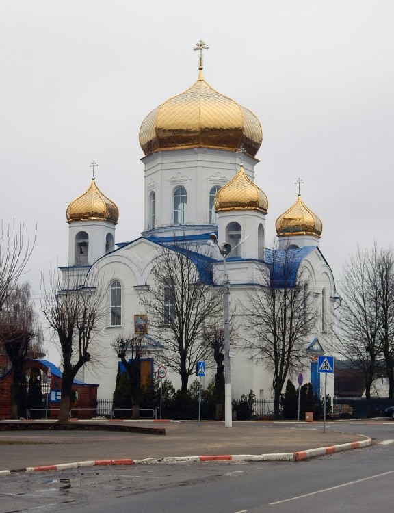 Шклов. Церковь Спаса Преображения. фасады