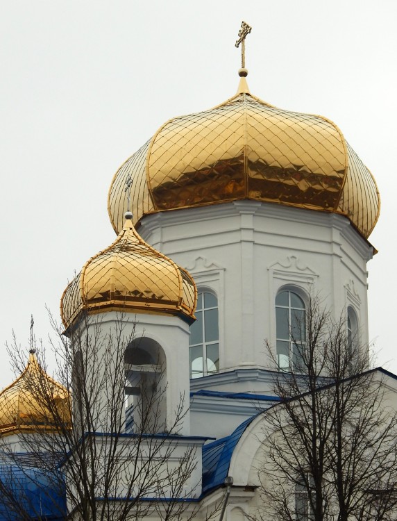 Шклов. Церковь Спаса Преображения. архитектурные детали