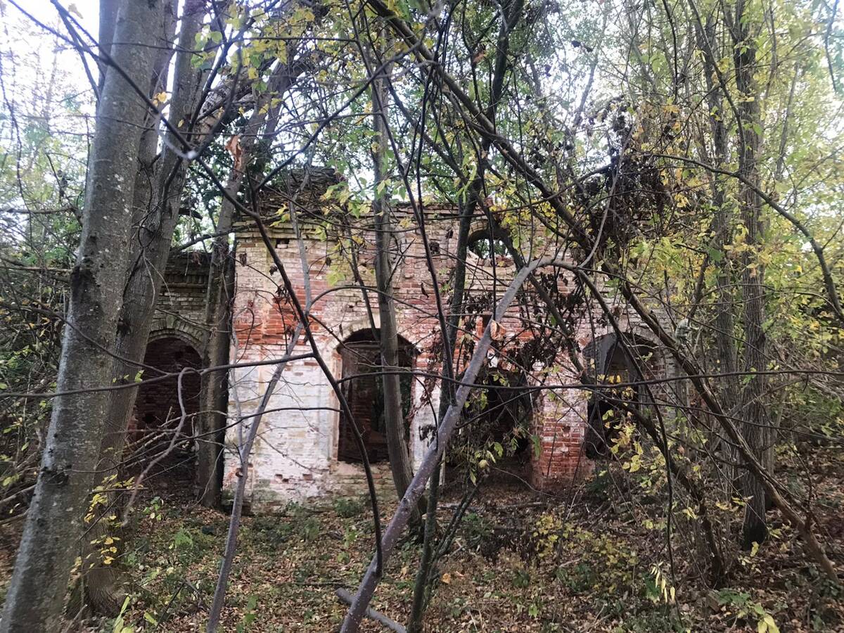 Церковь Николая Чудотворца, Болото (Белёвский район, Тульская область). фасады