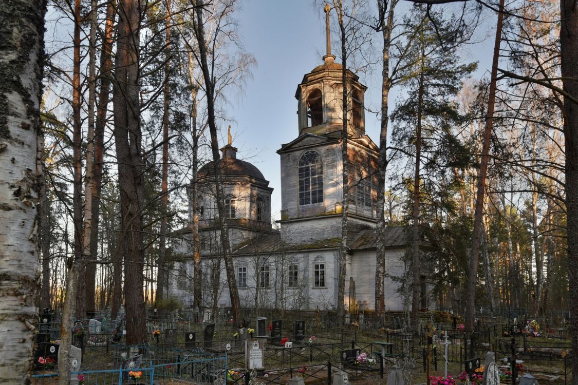 Скирки. Церковь Троицы Живоначальной. общий вид в ландшафте, Вид с северо-запада