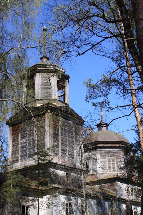 Церковь Троицы Живоначальной, Скирки (Максатихинский район, Тверская область). архитектурные детали
