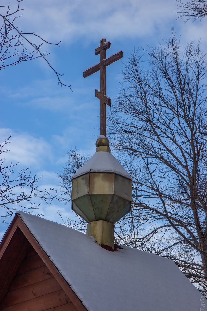 Часовня Казанской иконы Божией Матери, Сенницы 2-е (Озёрский городской округ, Московская область). архитектурные детали, Главка