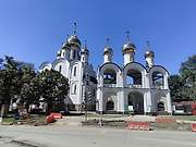 Дмитровский. Матроны Московской в Дмитровском, церковь